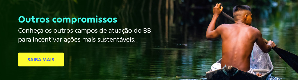 Banner com imagem de homem na canoa. Do lado esquerdo texto:
Outros compromissos
Conheça os outros campos e atuação do BB pra incentivar ações mais sustentáveis.
Botão: Saiba mais