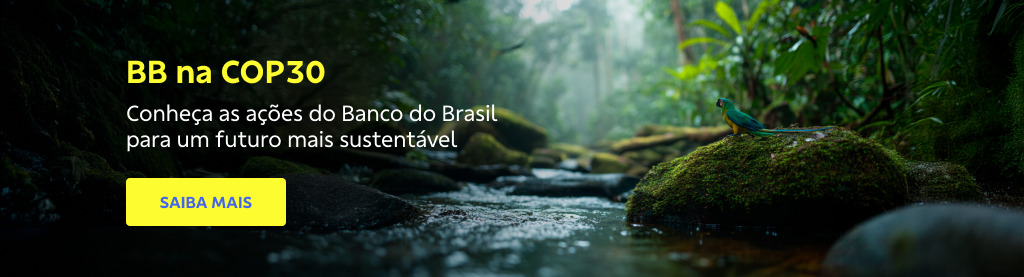 Banner com paisagem de floresta tropical com um pequeno riacho e uma ave pousada sobre uma pedra coberta de musgo. 

À esquerda, texto em amarelo: BB na COP30. Conheça as ações do Banco do Brasil para um futuro mais sustentável. Abaixo, botão amarelo com texto em azul: SAIBA MAIS. 